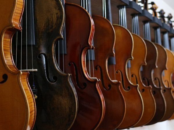 A row of 11 fiddles standing up in a line.